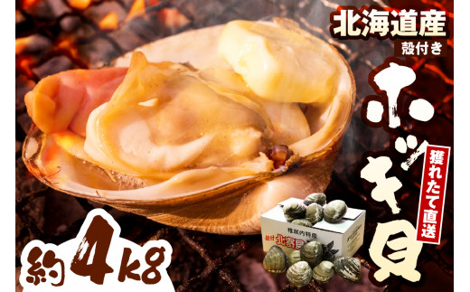 数量限定】 獲れたて直送 ホッキ貝 約4kg - 北海道豊富町｜ふるさと