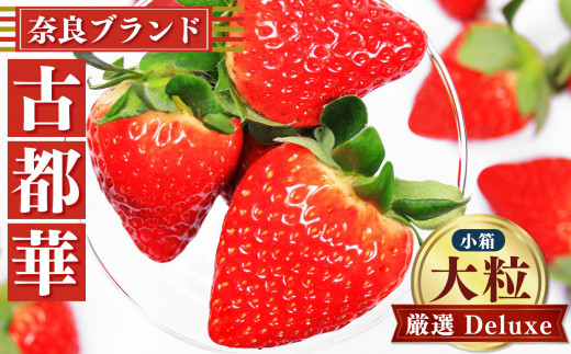 sd1_3b85b2d4ac0e1a6564e6a3896d