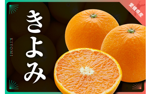 三代目がつくる高品質＜きよみ＞5kg＜D31-9＞_ ミカン みかん 清見
