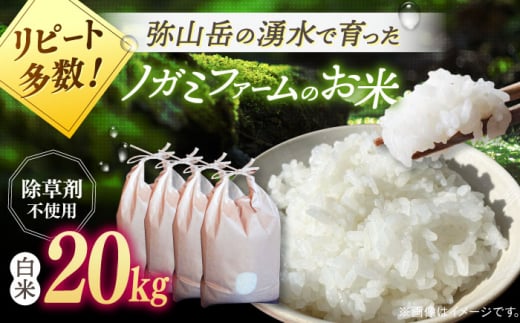 新米 令和6年産】弥山岳の岩清水で育ったノガミファームの お米 白米 20kg ( 5kg ×4袋） ▽ おすすめ 人気 ランキング 高評価 国産 福岡県産  九州 米 お米 白米 ご飯 ごはん ゴハン 白飯 精米 桂川町/NOGAMI FARM[ADAU007] - 福岡県桂川町｜ふるさとチョイス -  ふるさと ...