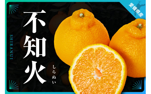 sd1_a6b7234c8fcfd49e86aeeafd9d