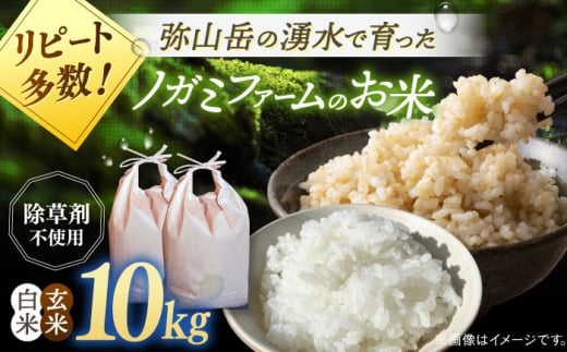 新米 令和6年産】弥山岳の岩清水で育ったノガミファームの お米 白米 と 玄米 の 食べ比べ 計10kg （各 5kg ） ▽ おすすめ 人気  ランキング 高評価 国産 福岡県産 九州 米 お米 白米 ご飯 ごはん ゴハン 白飯 精米 玄米 精米前 未精米 食べ比べ