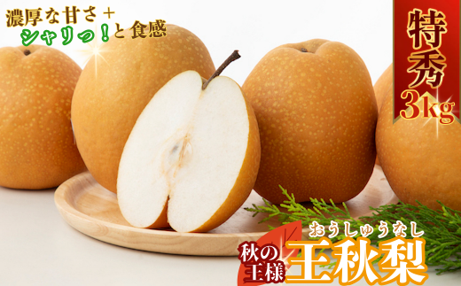 年始に 甘い 王秋梨 20kg 発送中「王秋梨」(おうしゅう)2.5キロ(4~6玉