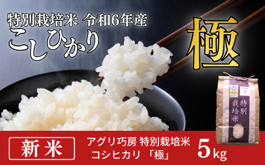 特別栽培米 コシヒカリ 「極」 5kg 令和6年産 こしひかり 新潟県認証 精米 白米【012S076】 - 新潟県三条市｜ふるさとチョイス -  ふるさと納税サイト