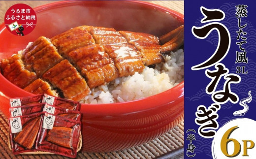 yꌧ܎szĕȂ3Ligj×6P iYj