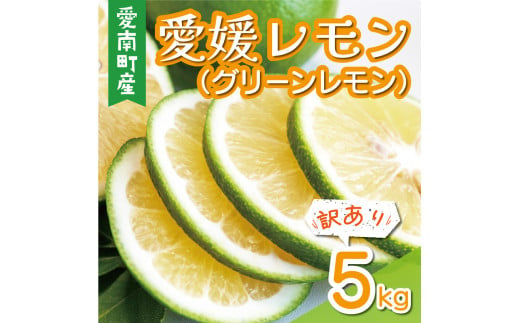 訳あり 愛媛 レモン （ グリーンレモン ） 5kg 7000円 柑橘 サイズ 不揃い 家庭用 檸檬 国産 フルーツ 果物 果実 産地直送 農家直送  数量限定 期間限定 特産品 瀬戸内 ワックス 防腐剤 不使用 果汁 人気 新鮮 レモネード 塩レモン レモン酢