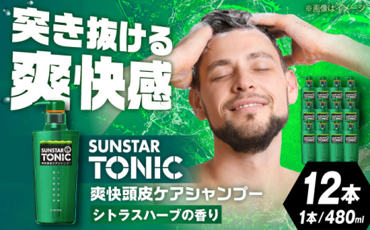 sunstar tonic ストア シャンプー