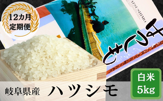 【岐阜県垂井町】≪令和7年産≫【12か月定期便】【新米】 岐阜ハツシモ5kg