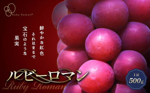 yΐ쌧szys\zr[} 1[ 500gi2026N8{`9{j Ԃǂ uhE 嗱 s\ \ ①z  ʕ t[c n Hi F6P-2104