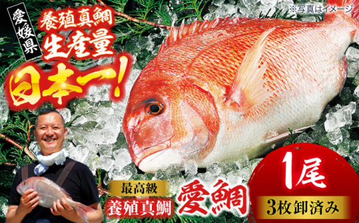 yQFszyⓀzō {B ^ wx1i3 tB2 tjQFs/QƋg[AGDA001]    hg ߂ ^CЂ ₵ 