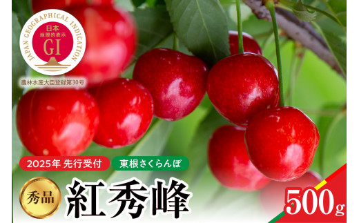 2025年産 先行予約】紅秀峰 秀品 500g 山形県 東根市 hi004-hi062-040-1 - 山形県東根市｜ふるさとチョイス -  ふるさと納税サイト