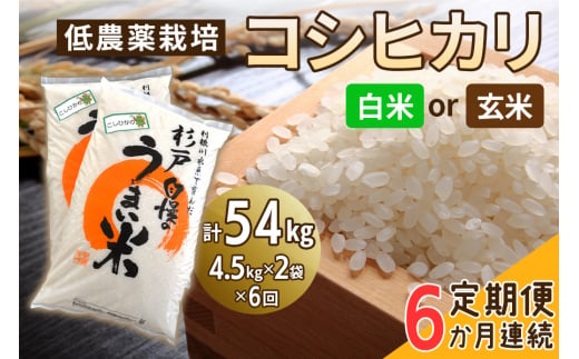 新米 低農薬栽培のコシヒカリ 9kg (4.5kg×2袋)｜おいしい お米 コメ こめ ご飯 ごはん 白米 玄米 お取り寄せ 直送 贈り物 贈答品  ふるさと納税 埼玉 杉戸 [0537-0539] - 埼玉県杉戸町｜ふるさとチョイス - ふるさと納税サイト