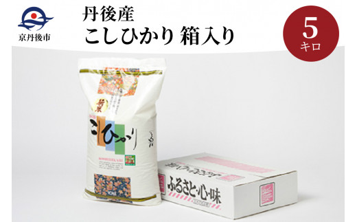 丹後産こしひかり5kg箱入り／令和6年産 お米 米 こしひかり 丹後産 5キロ 箱入り ふるさと納税 米 白米 精米 穀物 ふるさと納税 コシヒカリ  精米 京都産 送料無料 生産者応援 農家応援 送料無料 AM00651 - 京都府京丹後市｜ふるさとチョイス - ふるさと納税サイト