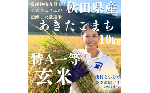 yHcszߘa7NY A HcY ܂  10kgi5kg×2܁jāy()ؖܘYXz[H7-2301]