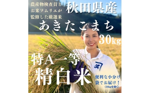 yHcszߘa7NY ANI HcY ܂  30kg  āy()ؖܘYXz[Q3-2301]