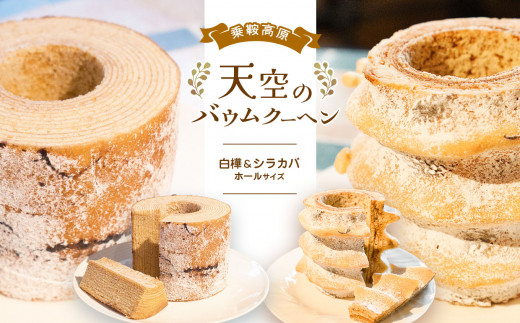 y쌧{szƍ ṼoEN[w 2Zbgwx&wVJoxz[TCY ӂ邳Ɣ[ MB 쌧 {s َq  Â  Ăَq oEN[w