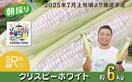 訳あり】朝採りとうもろこし約6kg（恵味）【先行予約：2024年7月上旬～7月下旬ころ順次発送予定】【トウモロコシ とうもろこし 朝採り コーン 野菜  スイート 甘い 茨城県産 朝採れ】 - 茨城県下妻市｜ふるさとチョイス - ふるさと納税サイト