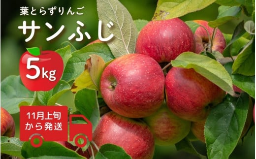 yVܐsz  tƂ炸 ӂ 5s ( 14~16ʒx ) | S ь ʕ  t[c Yn  VܐsY 񂲉