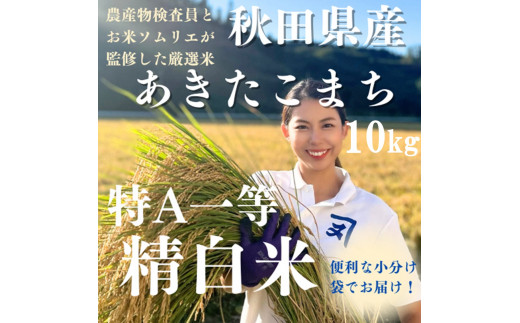 yHcszߘa7NY ANI HcY ܂  10kgi5kg×2j  āy()ؖܘYXz[C1-2301]