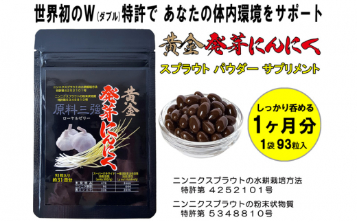 yÉlszɂɂ XvEg pE_[ Tvg W L@JASF엿y 1 ^ 31 93 z [5786-5569]