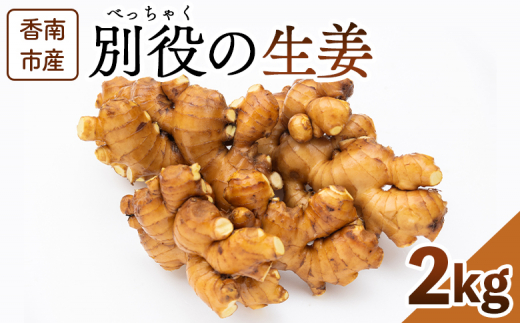 ymszI 2kg sY ʖ̐I - I 傤 VEK WW[   Y ЂׂႭ m s bc-0014