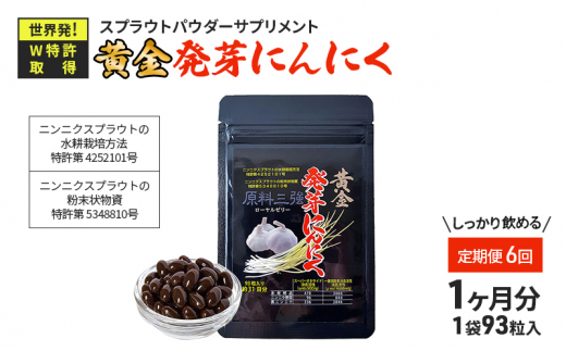 yÉlszy6zɂɂ XvEg pE_[ Tvg W L@JASF엿y 1 ^ 31 93 z [5360-0017]