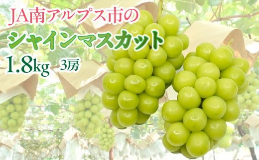 ☆日本テレビ「ZIP！」で取り上げられました！☆【令和7年発送先行予約】絶品！南アルプス市産シャインマスカット1.2kg ALPAA003 ｜ 山梨  山梨県 ぶどう 葡萄 ブドウ マスカット 種なし 大粒 フルーツ くだもの 果物 高級 新鮮 産地直送 贈答 ギフト 家庭用 1.2キロ 2025  ...