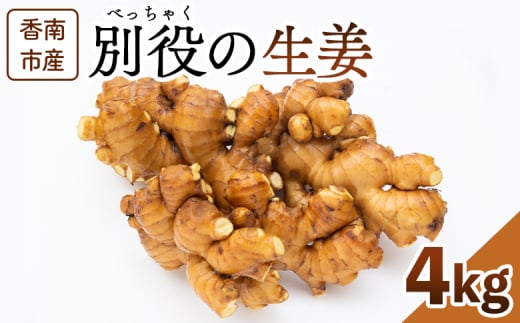 ymszI 4kg sY ʖ̐I - 傤 VEK WW[   Y ЂׂႭ m s bc-0015