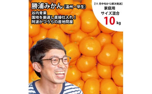 yYzJ ݂ ƒp TCY 10kg