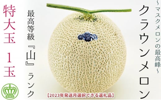【静岡県袋井市】 2026年2月発送クラウンメロン(山級)特大玉  1玉 ギフト箱入り