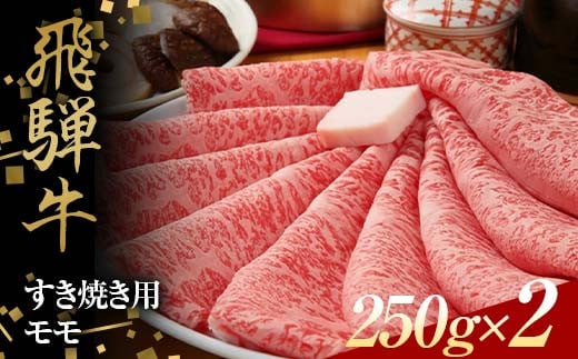 【岐阜県中津川市】飛騨牛 すきやき用 モモ肉 250g×2 赤身 鍋 スライス肉 F4N-1638