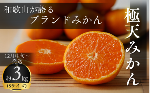 ya̎Rcӎszi`Iuh@_Ǝ́uɓV݂(؏n)v 3kg (STCY) 12{`\yԌEs\E11/30܂Łz  / cӎs B݂ ݂ ~J ؏n