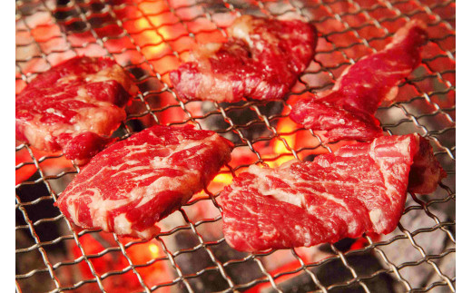 【福岡県川崎町】博多和牛A4ランク以上焼肉用タレ漬550g