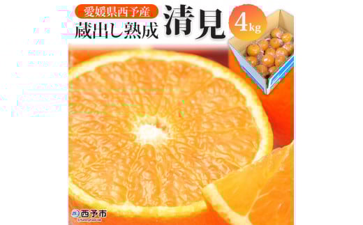 yQ\szQ\sY on 4kg ʕ t[c ݂ IW   k Yi p ƒp Hׂĉ Q \sy퉷zw2026N5{`6{