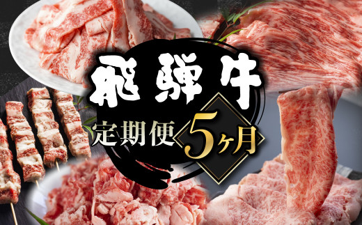 【岐阜県飛騨市】【固定月にお届け】飛騨牛 5回定期便 (スライス すき焼き しゃぶしゃぶ 焼肉 牛串 )5回 お楽しみ 食べ比べ 牛肉 肉 和牛