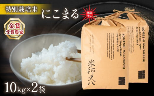 令和6年産 新米 にこまる 20kg ( 10kg × 2袋 ) 天日干し ( 2024年産 ブランド 米 rice 精米 白米 ご飯 内祝い  もちもち 国産 送料無料 滋賀県 竜王 ふるさと納税 ) - 滋賀県竜王町｜ふるさとチョイス - ふるさと納税サイト