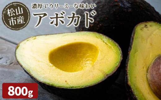 入荷次第順次発送】 松山市産 アボカド 800g （ サラダ 料理 果物