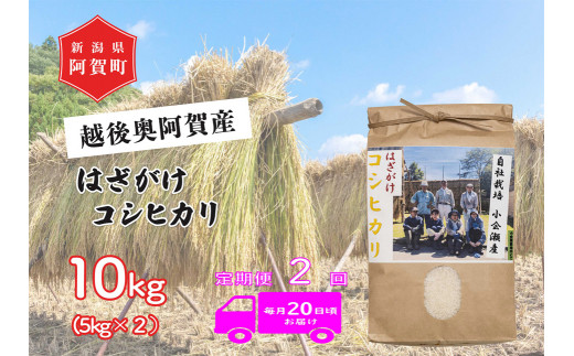 令和6年産米》【定期便】4回 越後奥阿賀産はざがけ（天日干し）コシヒカリ 玄米10kg（5kg×2袋） - 新潟県阿賀町｜ふるさとチョイス -  ふるさと納税サイト