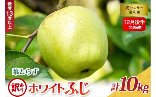 【青森県五所川原市】【2025年12月後半発送】【訳あり】葉とらずホワイトふじ10kg