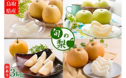 y挧zy󂠂z挧Y{̗ 3kg