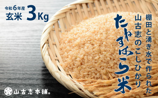 G3-09旧山古志村のこしひかり「たねすはら米」玄米3kg（新潟県産コシヒカリ） - 新潟県長岡市｜ふるさとチョイス - ふるさと納税サイト