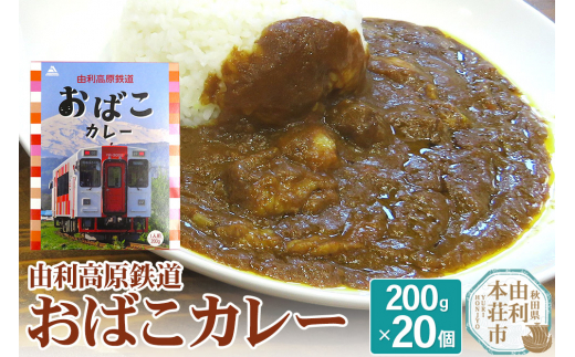 由利高原鉄道 おばこカレー 中辛 200g×20個セット - 秋田県由利本荘市 