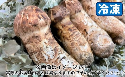 久慈産【冷凍】天然松茸「サイズ、つぼみ、開きおまかせ」400g - 岩手県久慈市｜ふるさとチョイス - ふるさと納税サイト