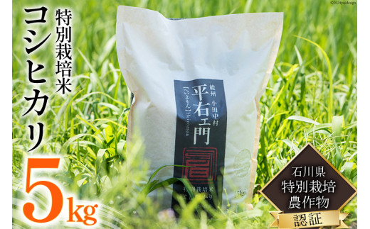 yΐ쌧\oz ʍ͔| EFiւj 5s [܂_ ΐ쌧 \o 27ad0004]   ͂ R 