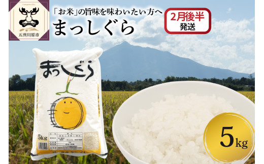 yX܏쌴szy2026N2㔼z܂5kgiāj