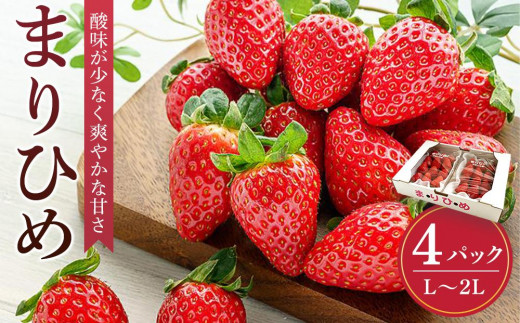 ya̎R쒬z܂Ђ߃C`S L`QL 12`15×4pbNm2026N1{甭nms̔nmKG8n