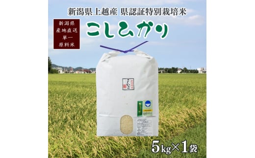 yVzszߘa7NY/VzY lĈāuVFؓʍ͔|ăRVqJv5kg