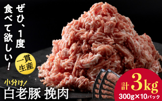 ykCVzkCY V ғ 300g×10pbN
