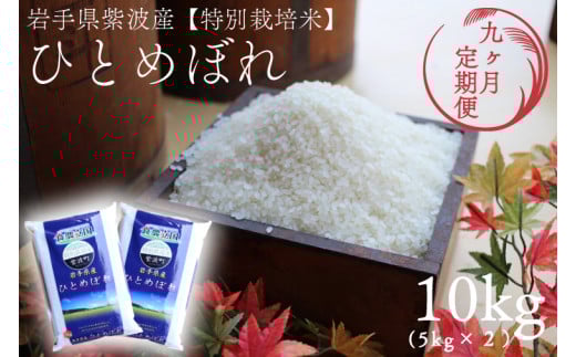 y茧gzߘa7NYy9ցzʍ͔| ЂƂ߂ڂ 10kgi5kg×2܁j茧gY (AD055)