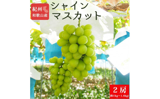 紀州和歌山産 シャインマスカット2房（約1kg〜1.4kg）【UT120